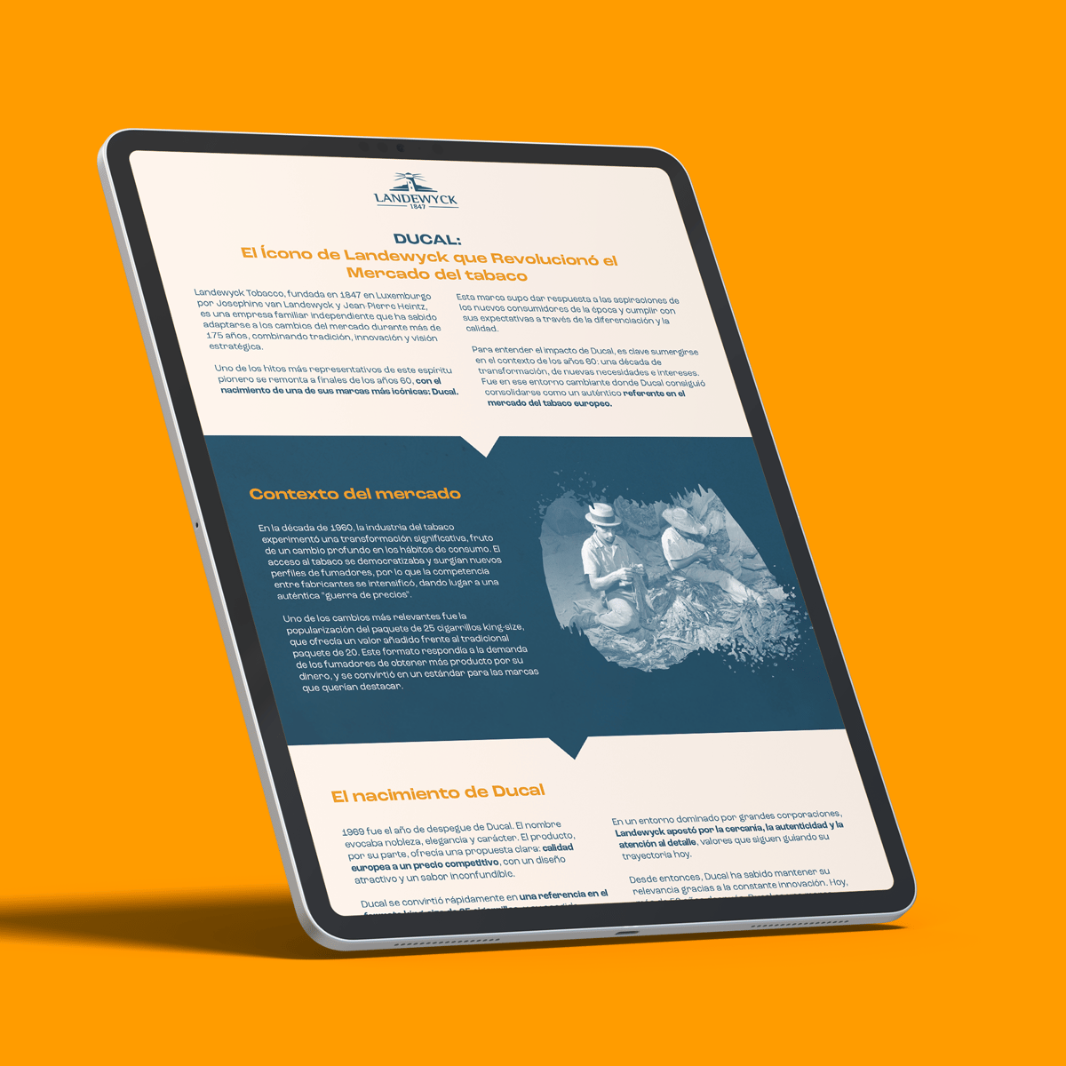 ES_mockup-infografia_Web ES_mockup-infografia_Web