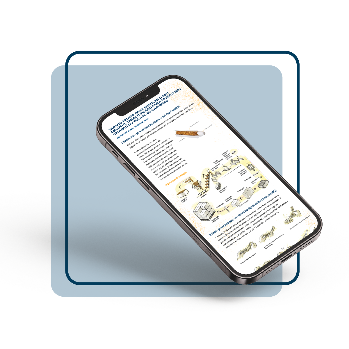 Mockup-Infografía-PT (1)